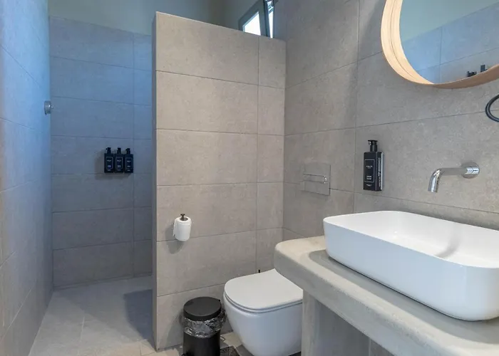 Alirene Mykonos فندق *