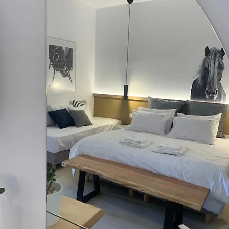 호텔 Alirene Mykonos *
