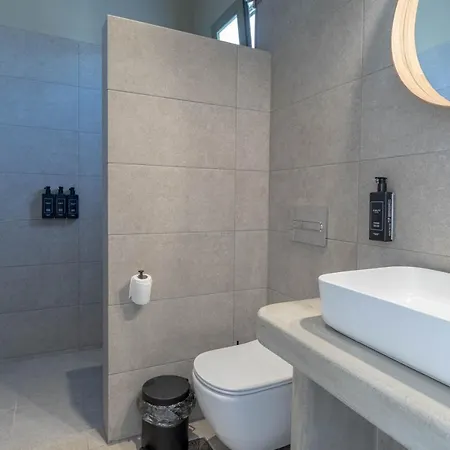 Alirene Mykonos מלון *